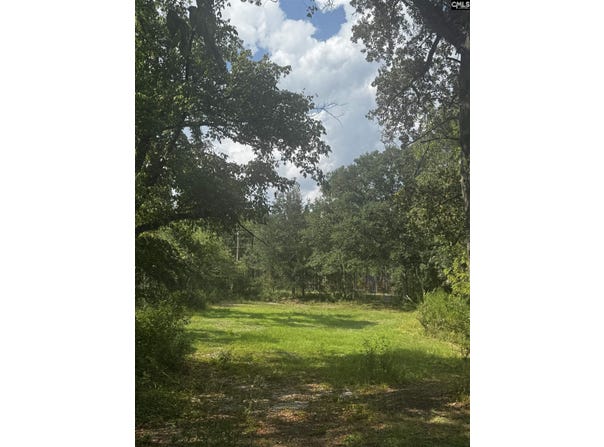 116 Rob Teal Road, Patrick, SC 29584