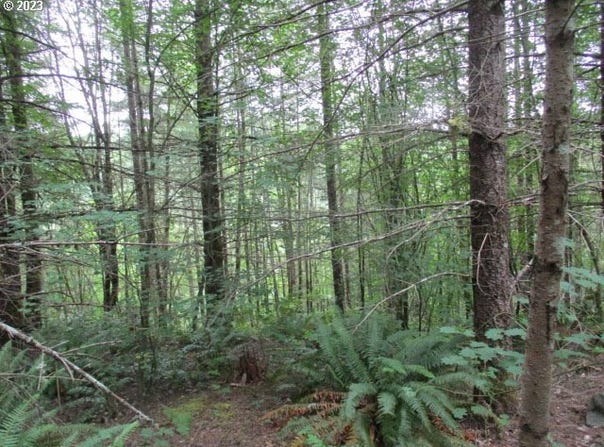 Gruber N Rd, Estacada, OR 97023