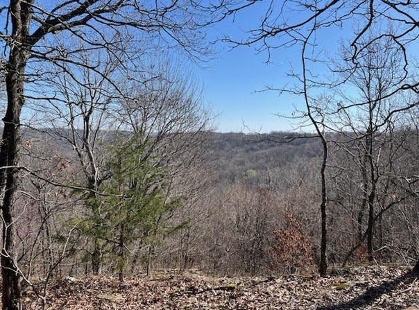 Skylight Mountain, Canehill, AR 72717