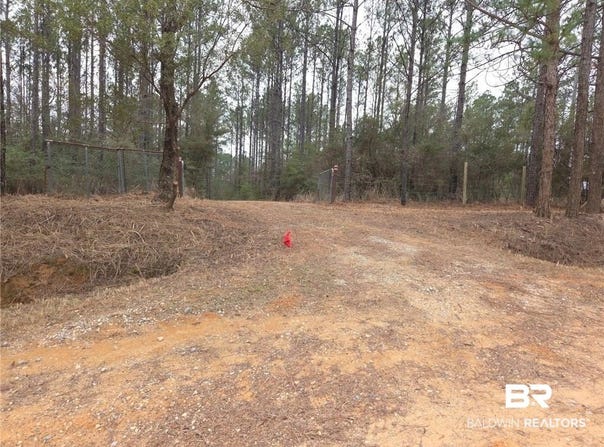 Chunchula Landfill Road, Chunchula, AL 36521