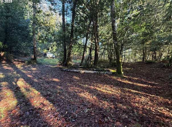 TIERNAN Rd, Mapleton, OR 97453