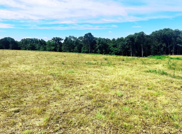 Farm Road 1040, Exeter, MO 65647
