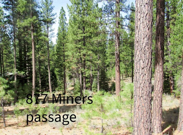 877 Miner's Passage, Clio, CA 96106-0877