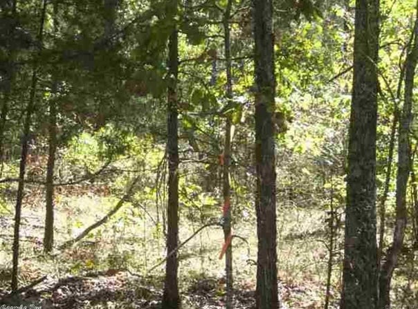 Easy Street, Drasco, AR 72530