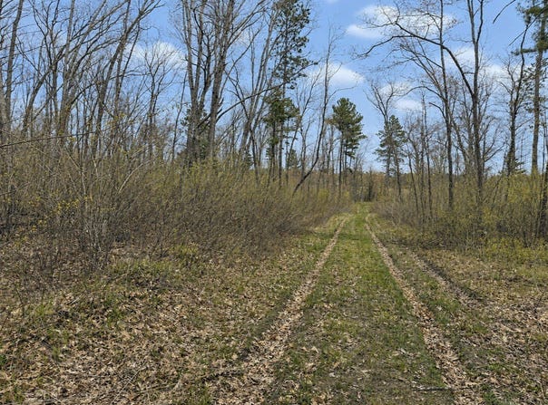 Foss Lane, Spooner, WI 54801