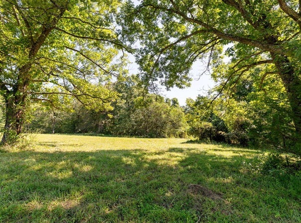 Lees Mill Road lot: 3, Drakes Branch, VA 23937