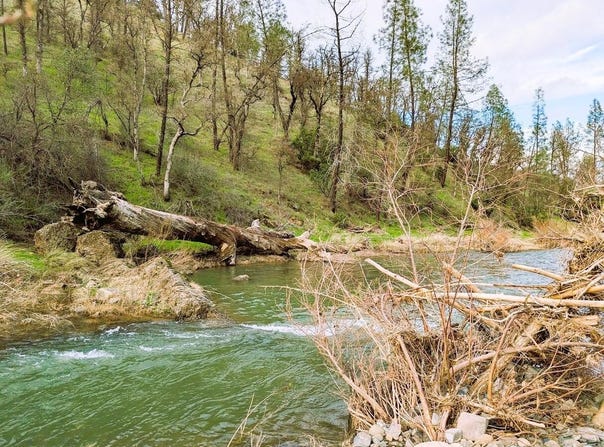 Red Bank Rd, Red Bluff, CA 96080