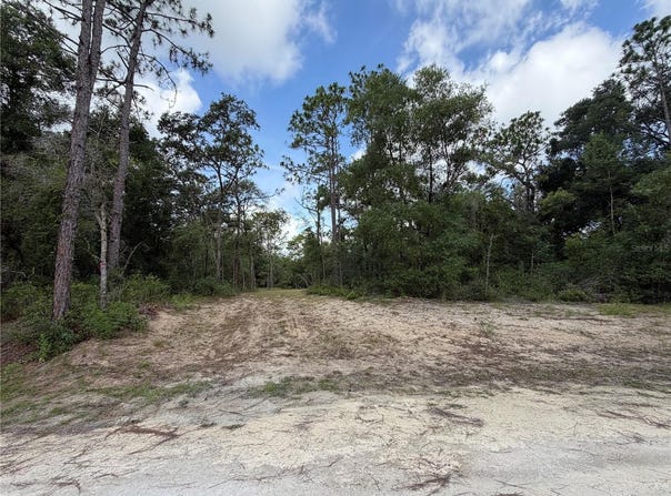 IDLEWOOD Drive, WEBSTER, FL 33597