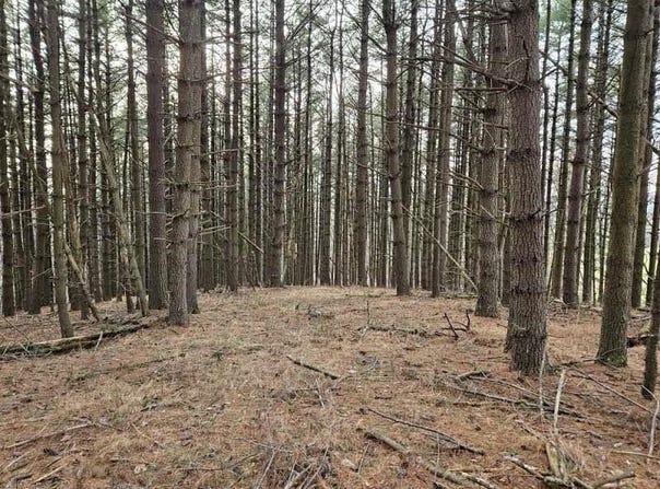 Sawmill Hill Road, Willis, VA 24380