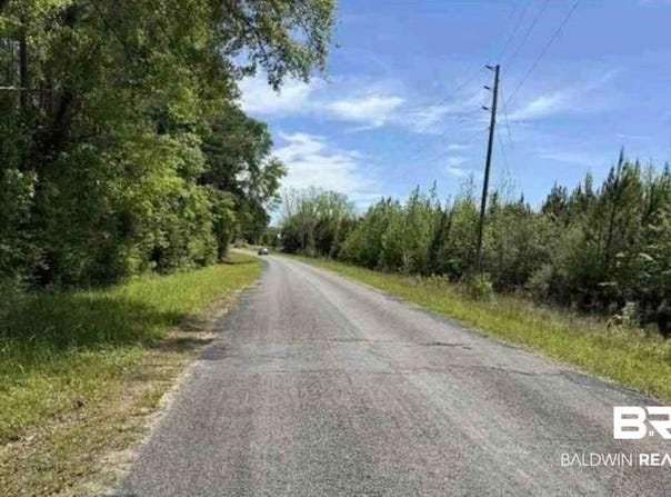 Horace Odom Road, Millry, AL 36558