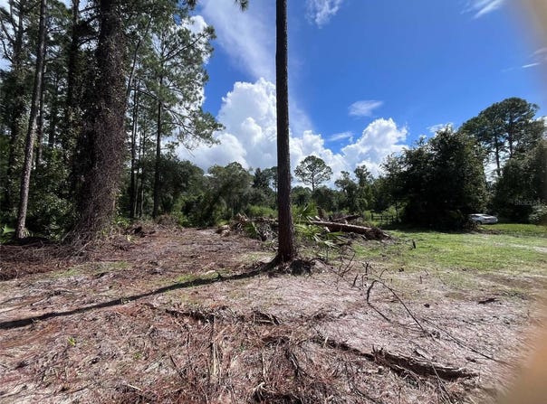 334 REDWOOD Boulevard, GEORGETOWN, FL 32139