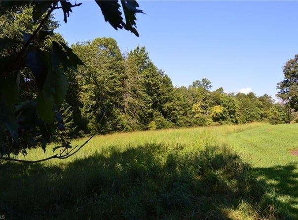 Tract D Hanging Rock Forest Road, Danbury, NC 27016