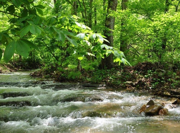 Two Brothers Road, Lindside, WV 24951