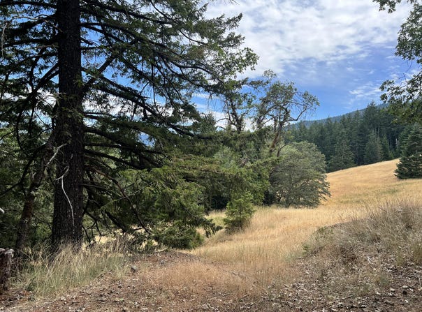 Stapp Road, Kneeland, CA 95549