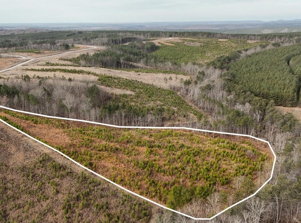 State Rt 399 Lot 13, Dunlap, TN 37327