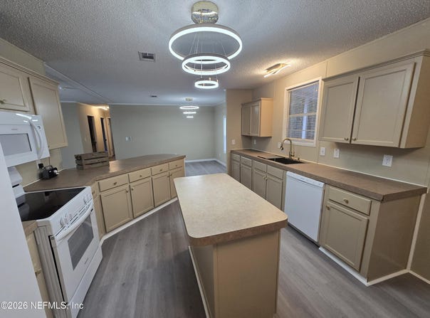 229 DOLPHIN Circle, Middleburg, FL 32068