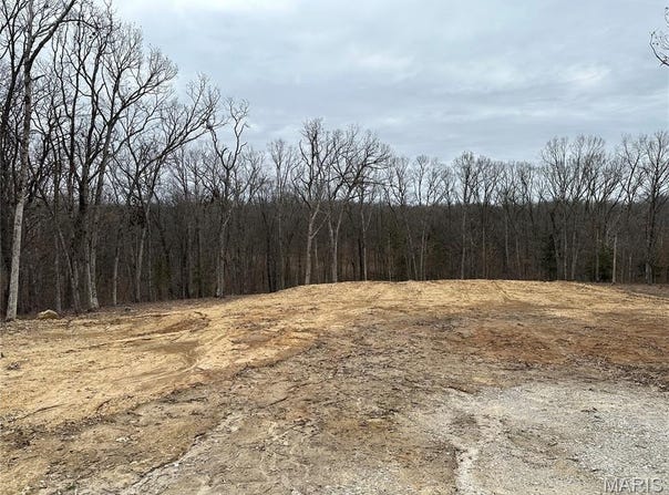 Tract 4 Walker Way, Monroe City, MO 63456