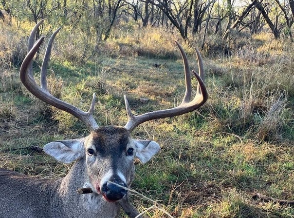 Texas 92, Hamlin, TX 79520