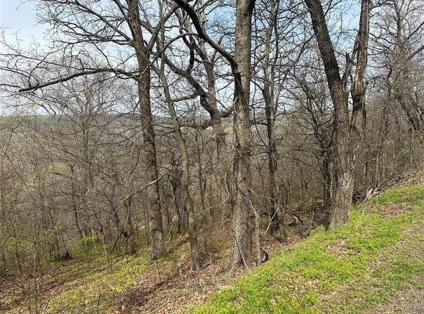 W Big Rock Road lot: #7, Park Hill, OK 74451