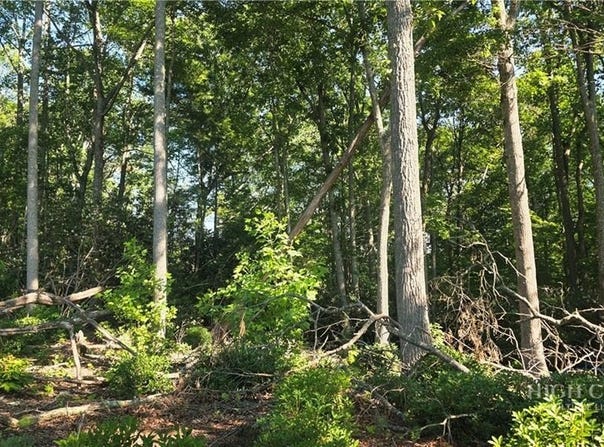 Pine Tree Drive lot: 122, Spruce Pine, NC 28777