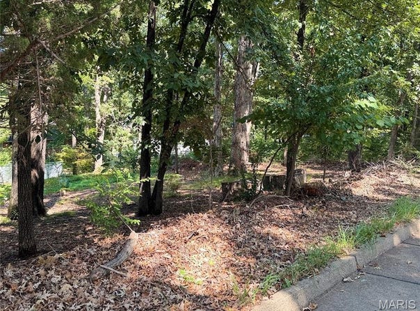 Sylvan Drive, Poplar Bluff, MO 63901