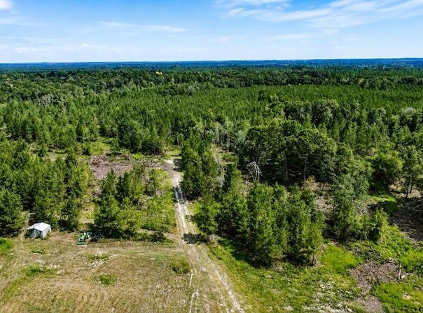 86.73 AC Tremont Rd, Cordele, GA 31015
