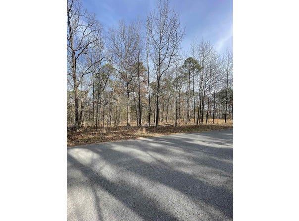Silver Shores Lane, Drasco, AR 72530