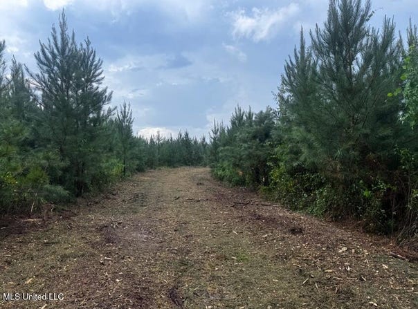 Ms Hwy 540, Braxton, MS 39044