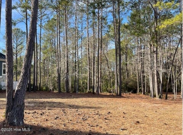 526 Lindgrove Place SW lot: 57, Ocean Isle Beach, NC 28469