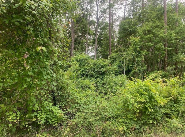 123 Coot Road, Satsuma, FL 32189