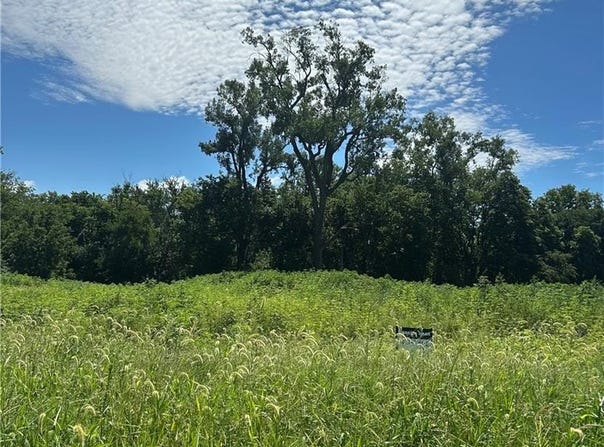 Hope Lane lot: 4, Odessa, MO 64076