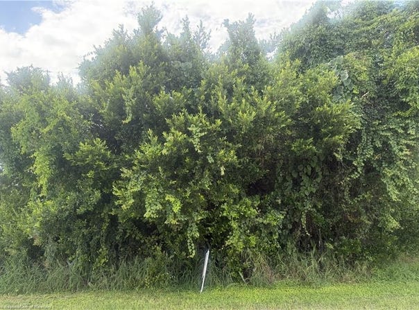 1600 E Claradge Avenue, Avon Park, FL 33825