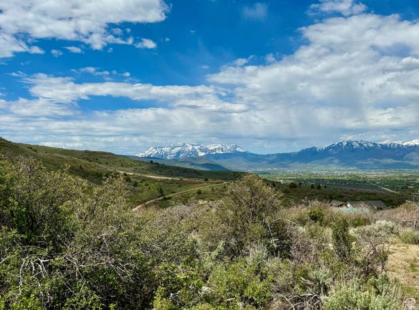 7321 E OAKVIEW Dr, Heber City, UT 84032