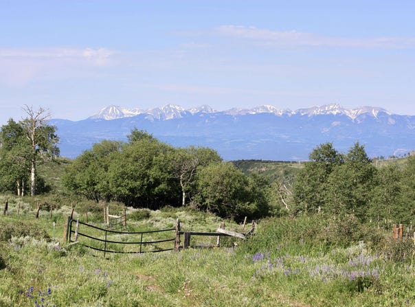 12951 MS Road, Glade Park, CO 81522