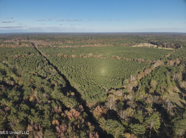 Lot 3 Whiddon Road, Canton, MS 39046