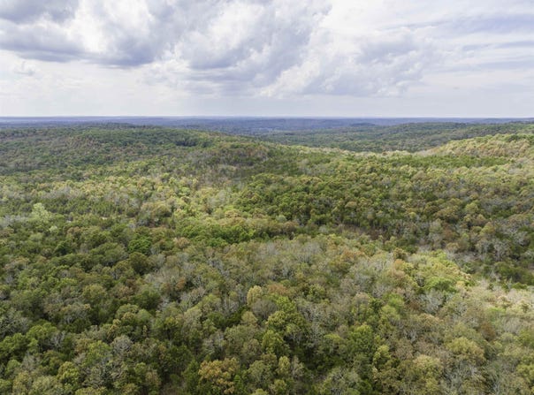 Buck Ridge Lane, Williford, AR 72482