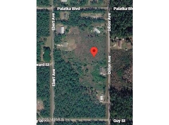 10635 DILLON Avenue, Hastings, FL 32145