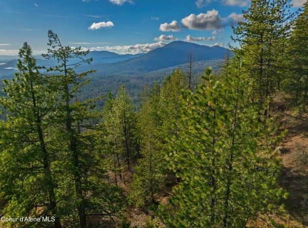 NNA 20.83acs Destiny Ln, Sandpoint, ID 83864