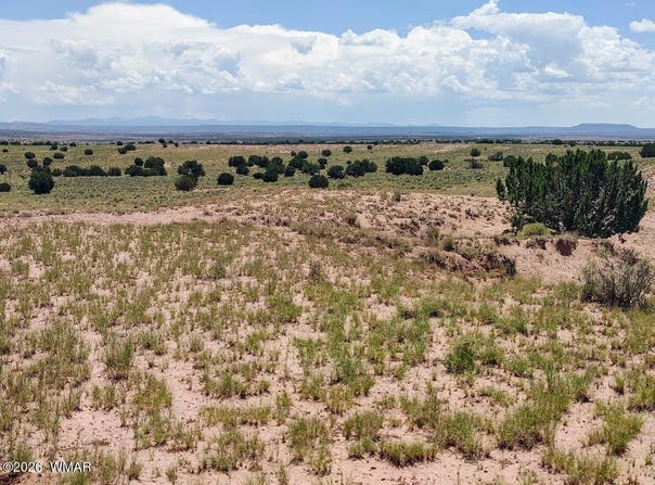 River Meadows Ranch lot: 214, Concho, AZ 85924