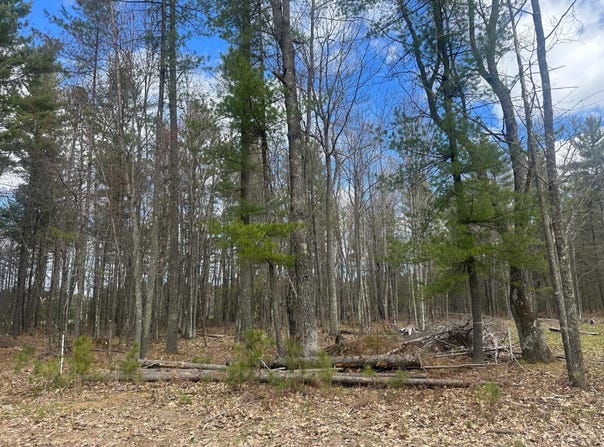 PINE BREEZE WAY lot: 5, Eagle River, WI 54521