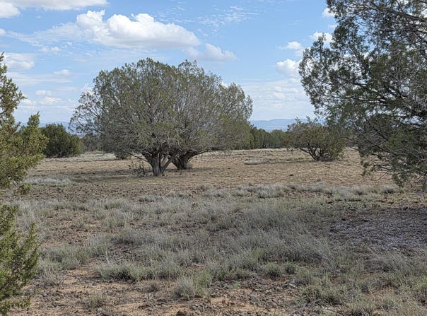 64 Antelope Run, Ash Fork, AZ 86320