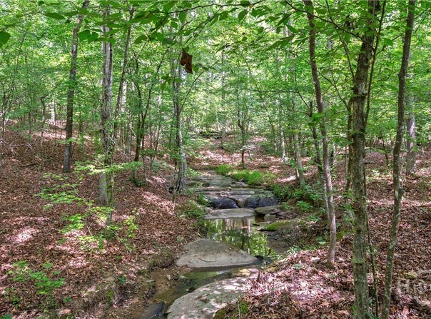 Gene Smith Road, Carlton, GA 30627