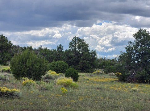 73 Tonto Pass, Quemado, NM 87829