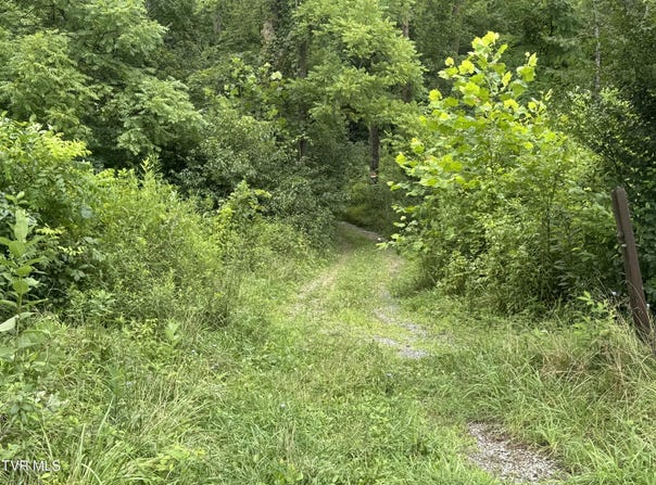 Pocahontas Trail, Meadowview, VA 24361