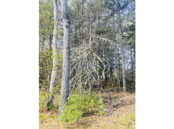 165 (#13) Pine Ledge Road, Bangor, ME 04401
