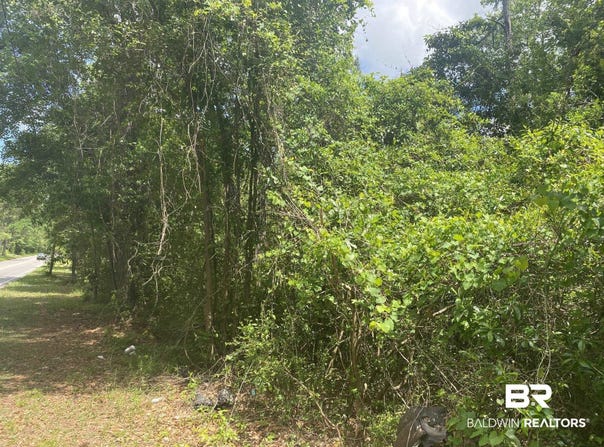 Bear Fork Road, Mobile, AL 36618
