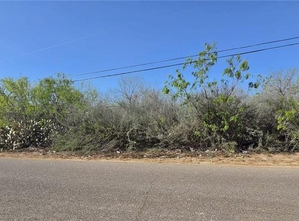 7622 N Los Charcos Drive, Mission, TX 78572