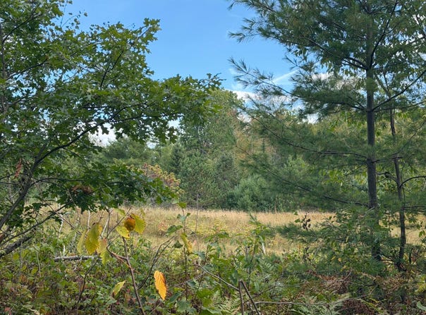 CATOR DR lot: 7, Minocqua, WI 54548