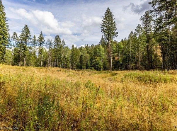 N Vista Cir, Colbert, WA 99005