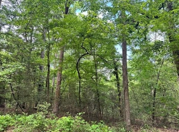 CR 497 lot: 1, Etoile, TX 75944